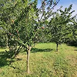 Сasa de vacaciones Akácliget Zamárdi