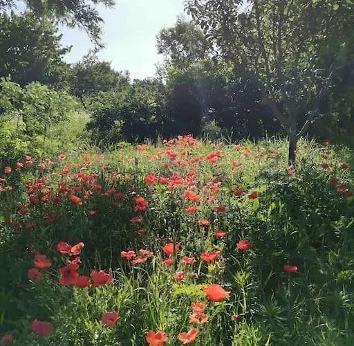 בית נופש Akacliget Vendeghaz זמראדי